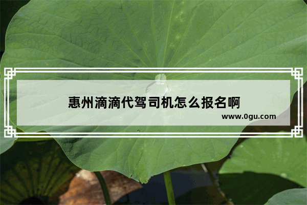 惠州滴滴代驾司机怎么报名啊
