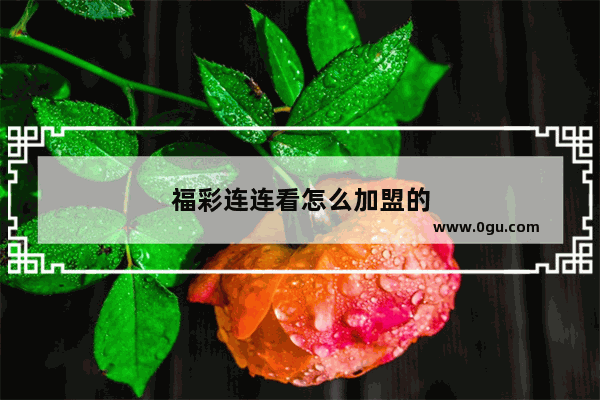 福彩连连看怎么加盟的