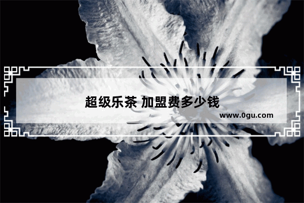 超级乐茶 加盟费多少钱