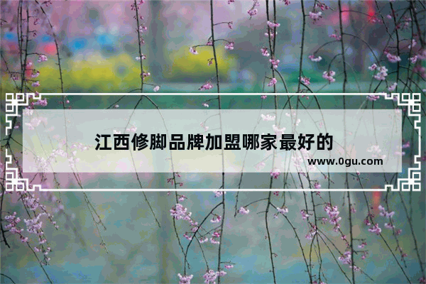 江西修脚品牌加盟哪家最好的