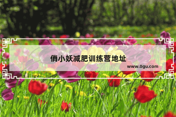 俏小妖减肥训练营地址