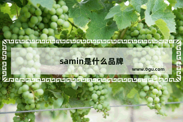 samin是什么品牌