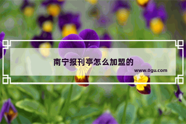 南宁报刊亭怎么加盟的