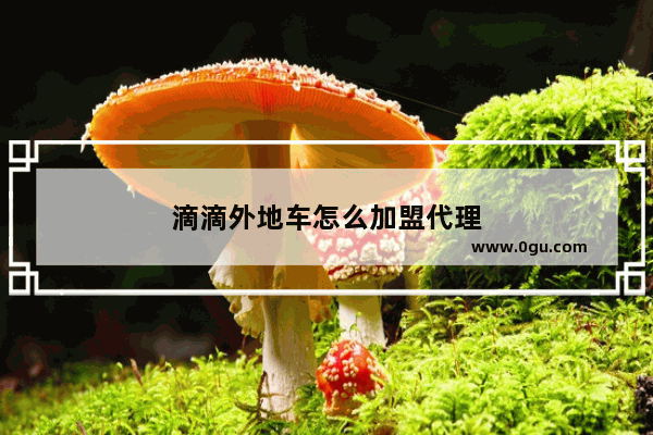 滴滴外地车怎么加盟代理