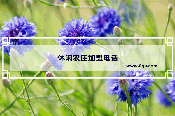 休闲农庄加盟电话