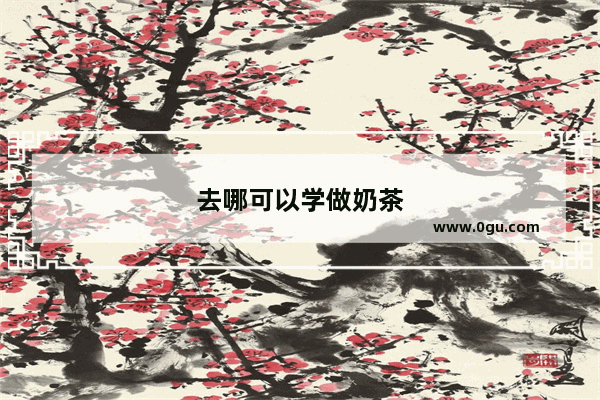 去哪可以学做奶茶