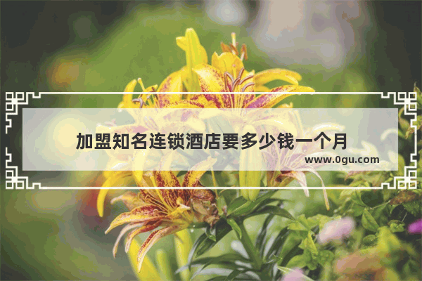 加盟知名连锁酒店要多少钱一个月