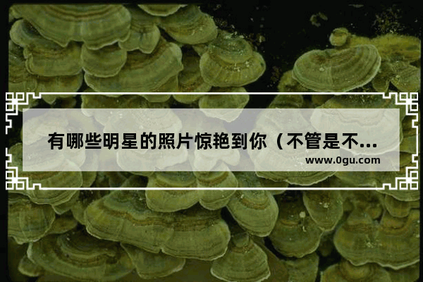 有哪些明星的照片惊艳到你（不管是不是她的粉）