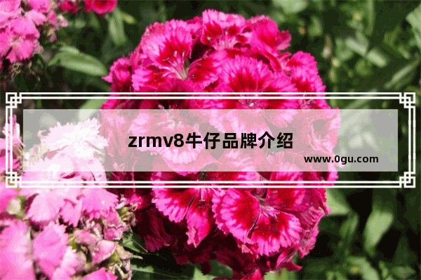 zrmv8牛仔品牌介绍