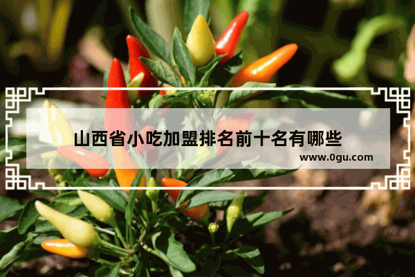 山西省小吃加盟排名前十名有哪些