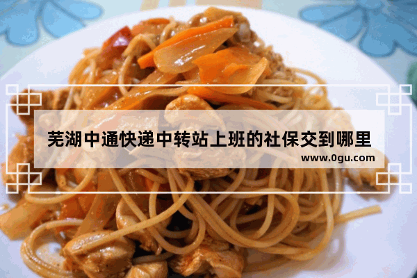 芜湖中通快递中转站上班的社保交到哪里