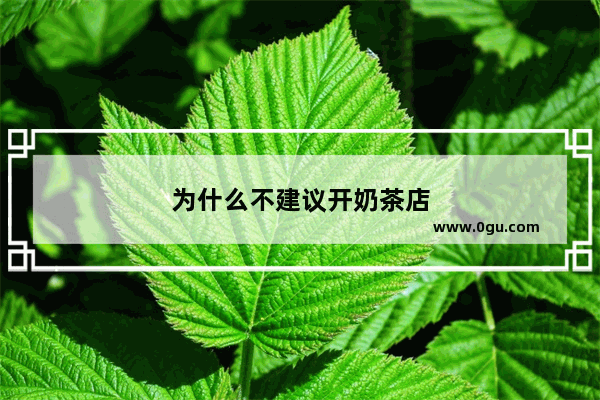 为什么不建议开奶茶店