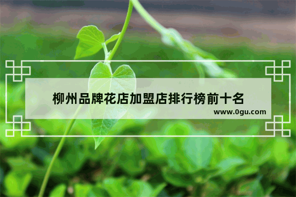 柳州品牌花店加盟店排行榜前十名