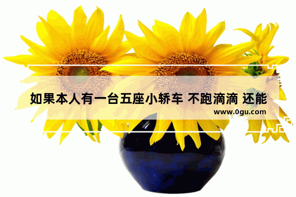 如果本人有一台五座小轿车 不跑滴滴 还能做点什么来赚外快