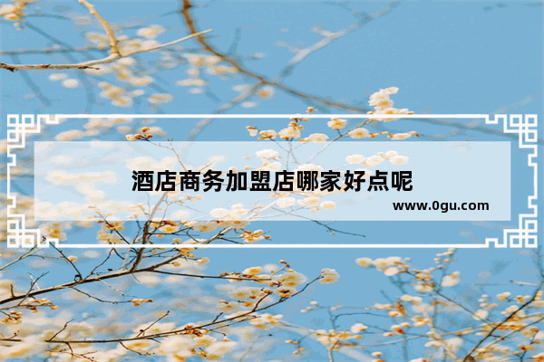 酒店商务加盟店哪家好点呢