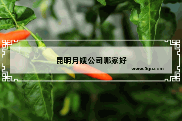 昆明月嫂公司哪家好