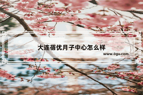 大连蓓优月子中心怎么样