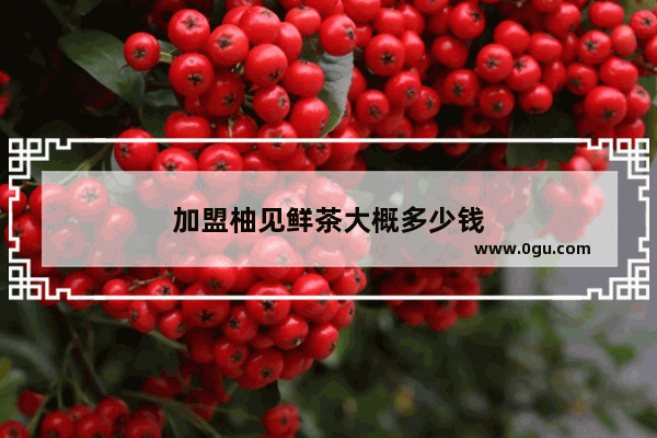 加盟柚见鲜茶大概多少钱