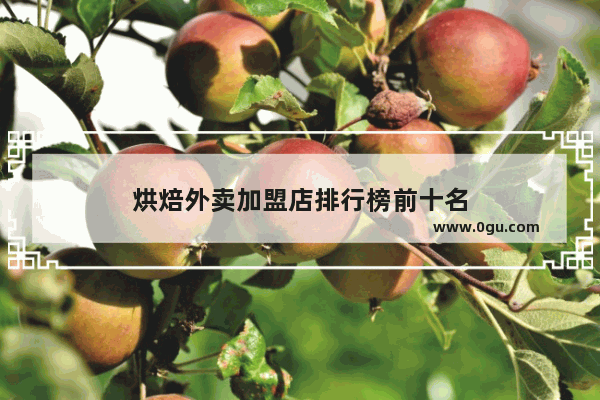 烘焙外卖加盟店排行榜前十名