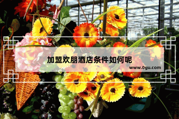 加盟欢朋酒店条件如何呢
