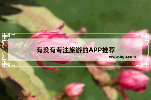 有没有专注旅游的APP推荐