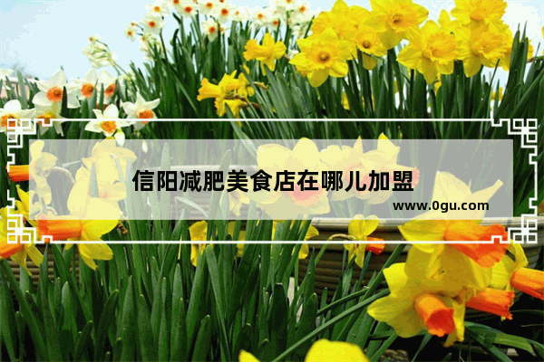 信阳减肥美食店在哪儿加盟