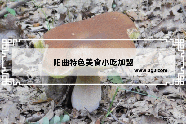 阳曲特色美食小吃加盟