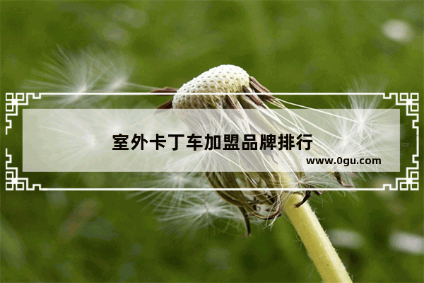 室外卡丁车加盟品牌排行