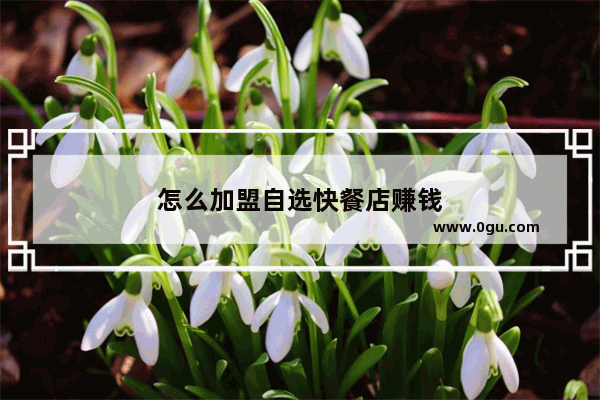 怎么加盟自选快餐店赚钱