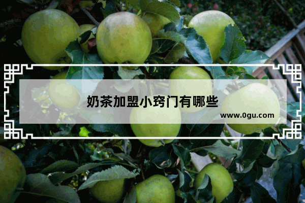 奶茶加盟小窍门有哪些