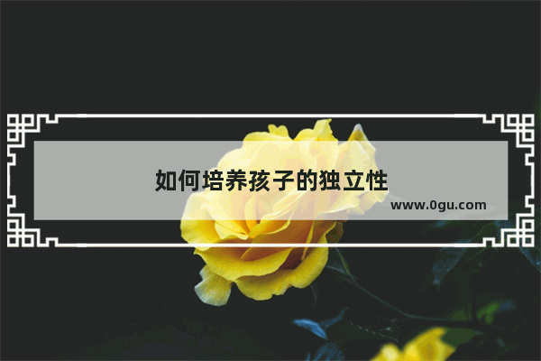 如何培养孩子的独立性