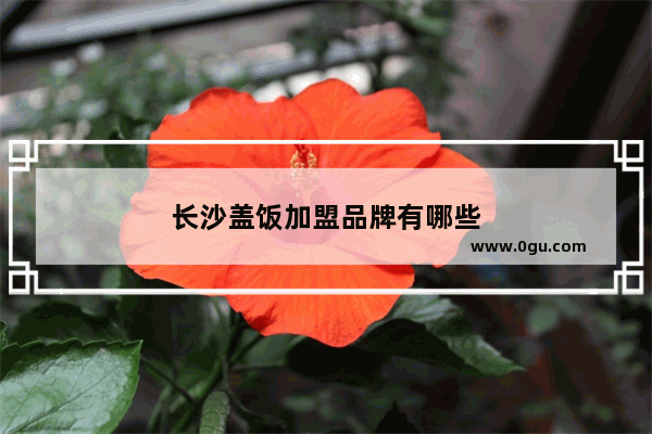 长沙盖饭加盟品牌有哪些