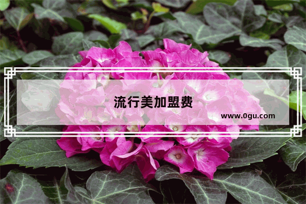 流行美加盟费