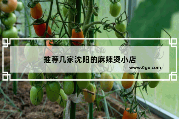 推荐几家沈阳的麻辣烫小店