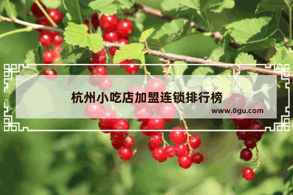杭州小吃店加盟连锁排行榜