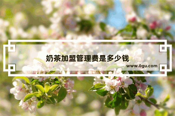奶茶加盟管理费是多少钱