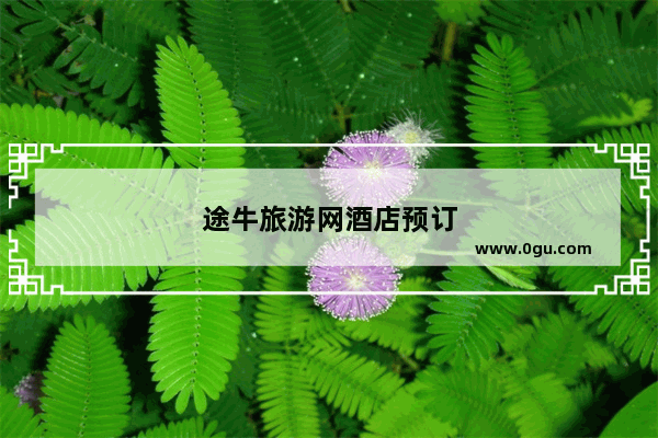 途牛旅游网酒店预订