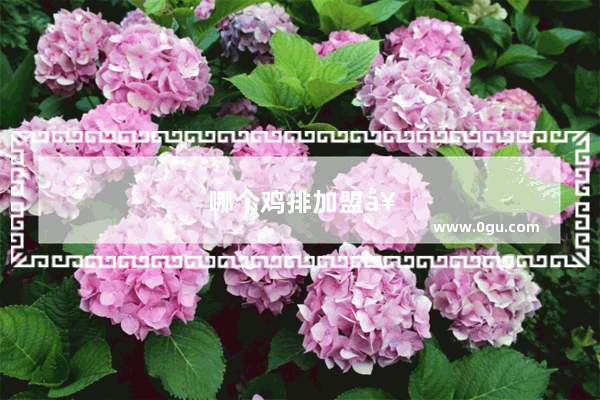 哪个鸡排加盟好不好