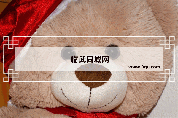 临武同城网