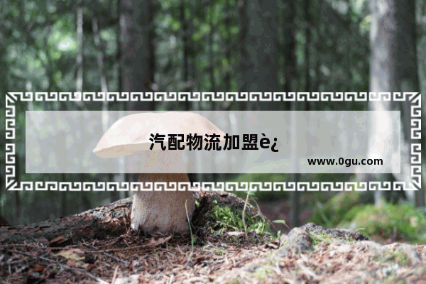 汽配物流加盟连锁品牌有哪些