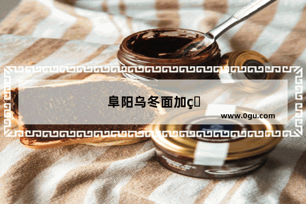 阜阳乌冬面加盟品牌