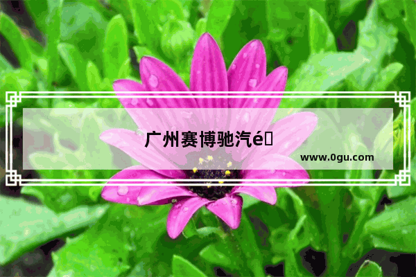 广州赛博驰汽配公司正规吗