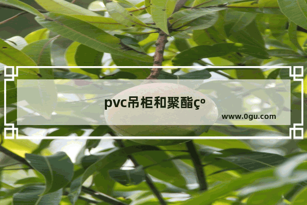 pvc吊柜和聚酯纤维吊柜哪个好