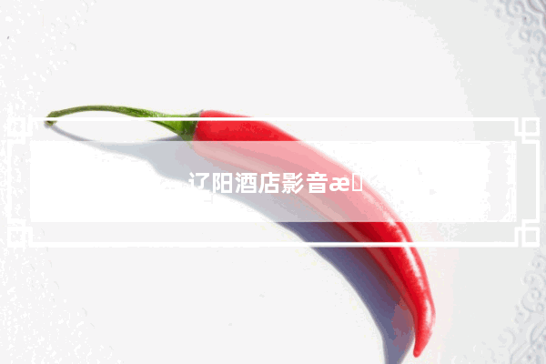 辽阳酒店影音房招商加盟电话