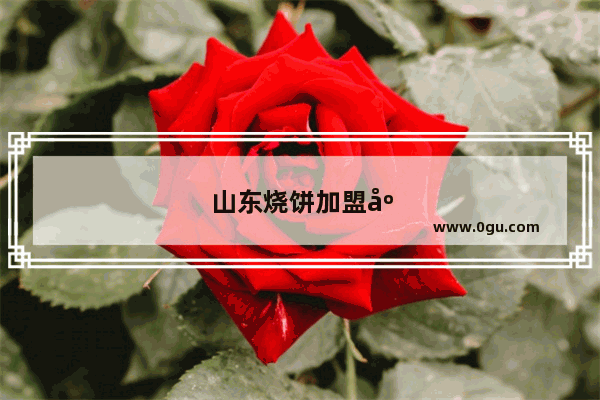 山东烧饼加盟店排行榜前十名