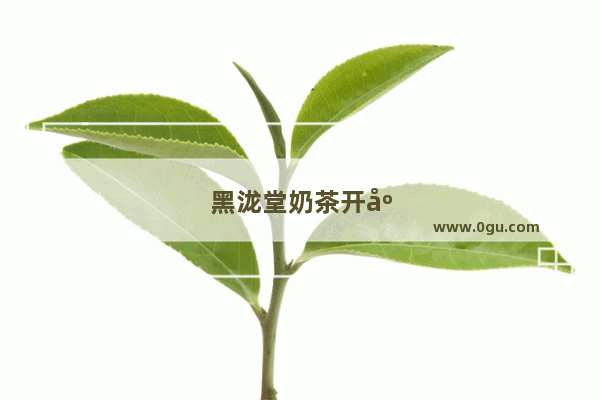 黑泷堂奶茶开店加盟费多少