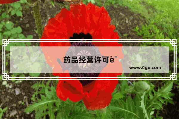 药品经营许可证可以没有法人吗