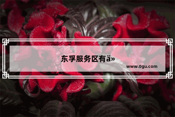 东孚服务区有什么吃的