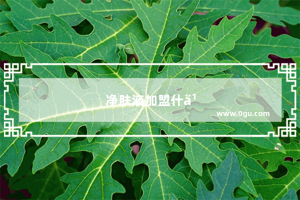 净肤液加盟什么品牌好呢女生