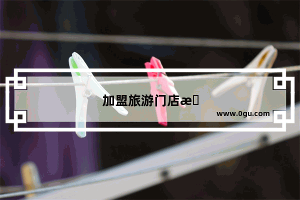 加盟旅游门店怎么分力